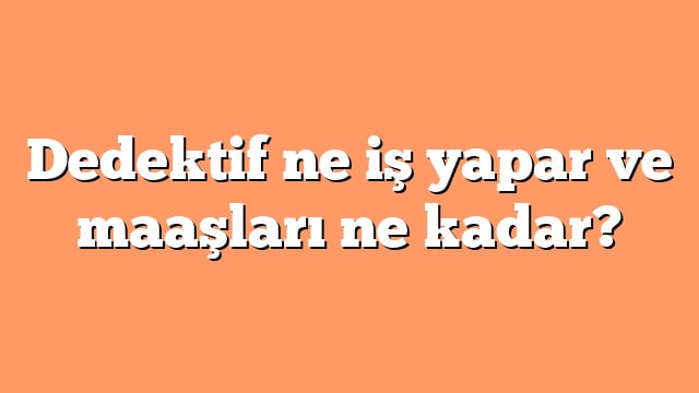 2022-dedektif-maasi