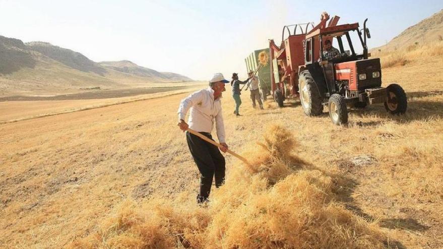 Çiftçinin takibe düşen kredilerine yapılandırma
