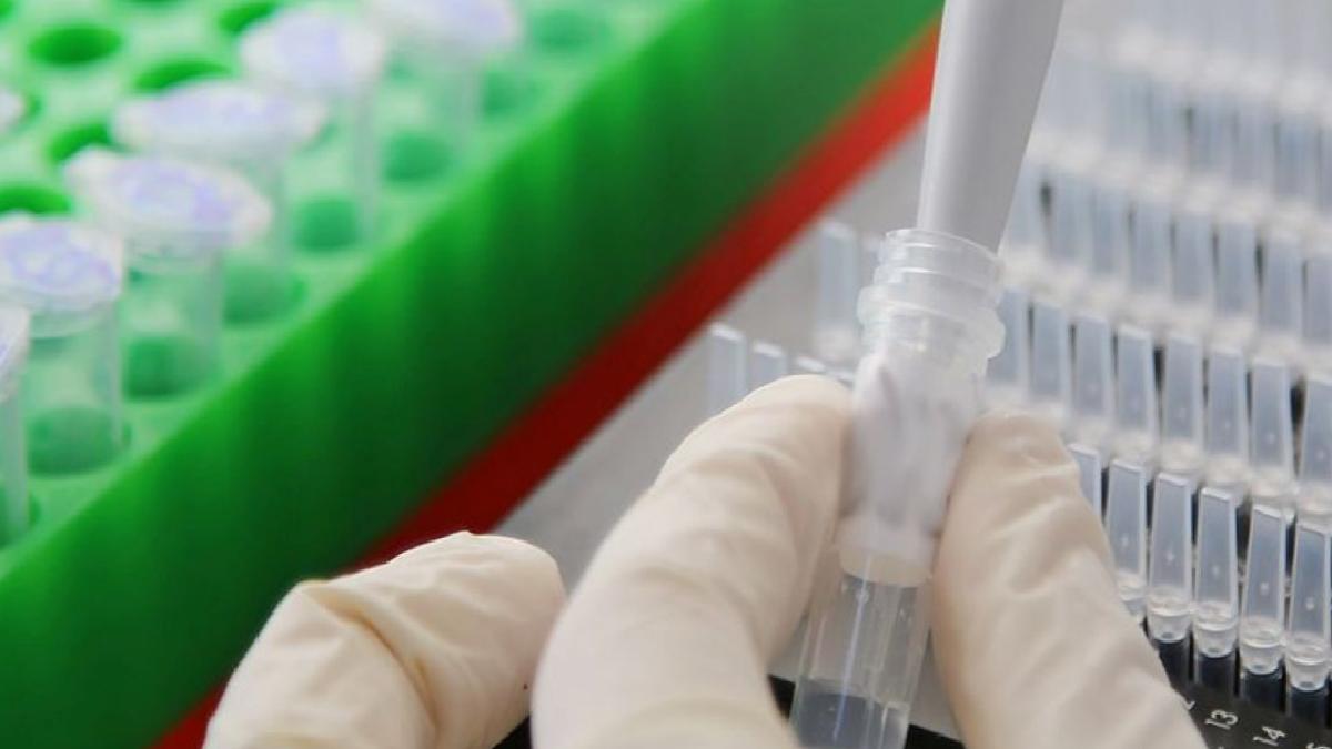 Gıda kontrol laboratuvarlarının çalışma esasları düzenlendi