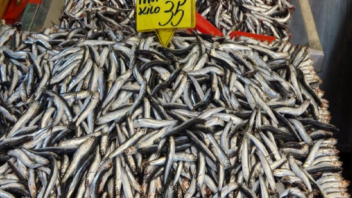 Kocaeli'de hamsi 35 liraya geriledi