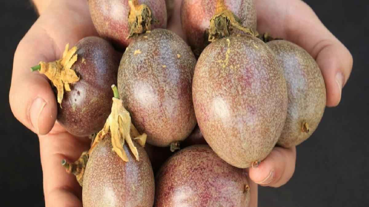 Mersin'de çarkıfelek yetiştirdi, kilosunu 100 liradan satıyor