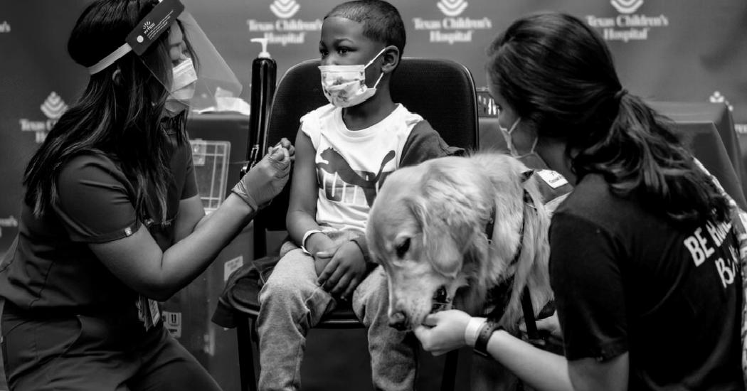 Pfizer Asks F.D.A. to Clear 2 Vaccine Doses for Young Children as a Start