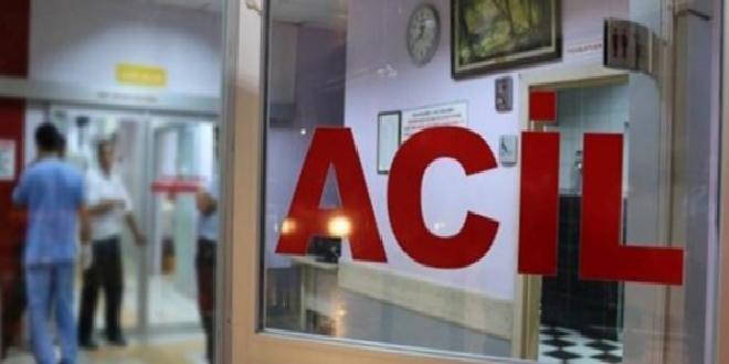 Sokak köpeklerinin saldırısına uğrayan imam yaralandı