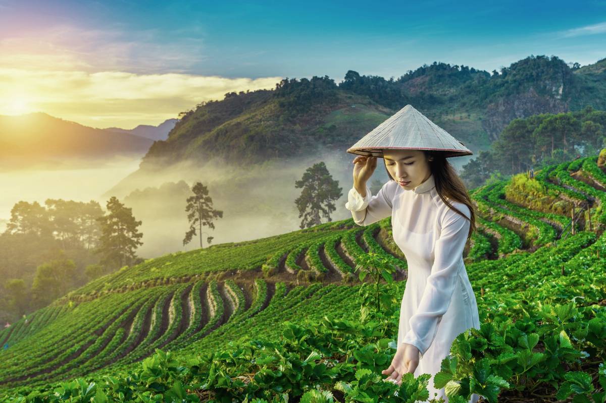 vietnam asgari ücret